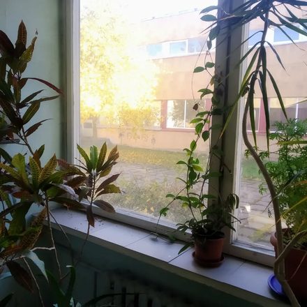 Kohvik Artell (Krati Söögitoad) — pilt 2